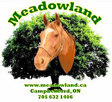 Meadowland logo