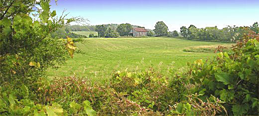 view of Meadowland Farm